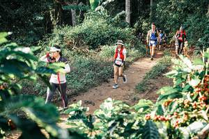 BIB: 
                            <button type="button" onclick="openModal(25849254)" class="btn btn-primary btn-sm float-right btn-popup" data-toggle="modal" data-target=".modal-high-quality">
                        <i class="fas fa-shopping-cart"></i> Add to Cart
                    </button>
                                            <button type="button" onclick="isThisMe(25849254, true)" class="btn btn-success btn-sm float-right btn-popup btn-isme hidden" data-toggle="tooltip" data-placement="bottom" title="นี่คือรูปของคุณใช่ไหม คลิกที่นี่เพื่อเอาเข้าอัลบั้ม">
                        <i class="fas fa-plus"></i> Add to album
                    </button>
                    <button type="button" onclick="isThisMe(25849254, false)" class="btn btn-warning btn-sm float-right btn-popup btn-isnotme hidden">
                        <i class="fas fa-ban"></i> Remove from album
                    </button>